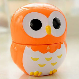 RARE 60 minute Cute Owl Mechanical Timer